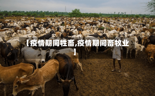 【疫情期间牲畜,疫情期间畜牧业】