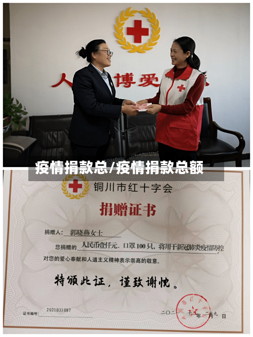 疫情捐款总/疫情捐款总额