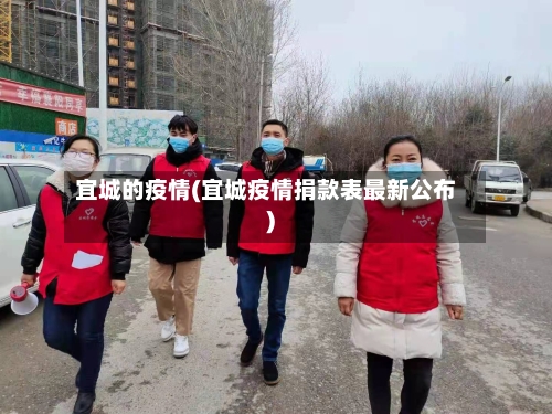 宜城的疫情(宜城疫情捐款表最新公布)