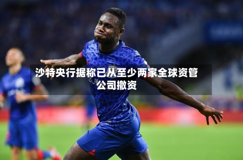 沙特央行据称已从至少两家全球资管公司撤资