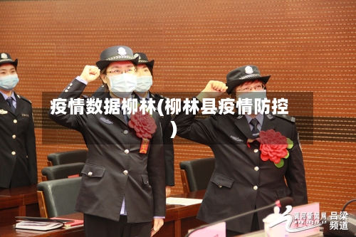 疫情数据柳林(柳林县疫情防控)