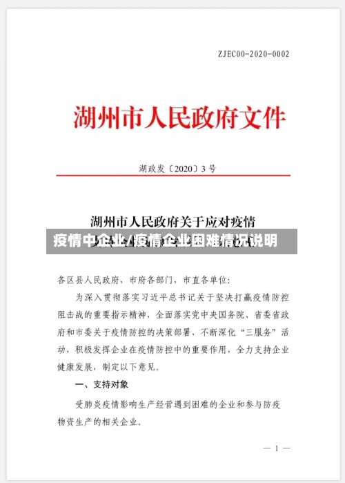 疫情中企业/疫情企业困难情况说明