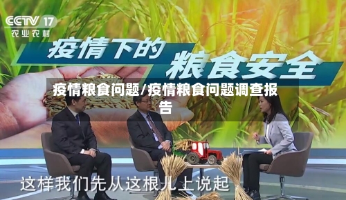 疫情粮食问题/疫情粮食问题调查报告