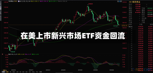 在美上市新兴市场ETF资金回流