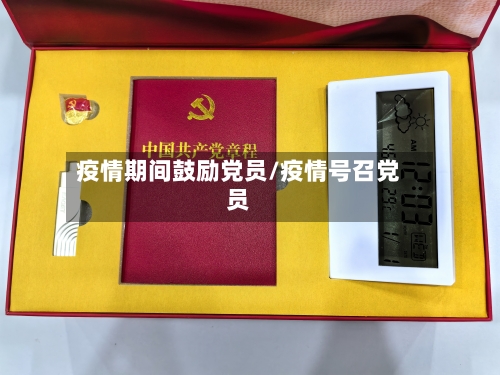 疫情期间鼓励党员/疫情号召党员