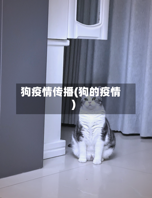 狗疫情传播(狗的疫情)