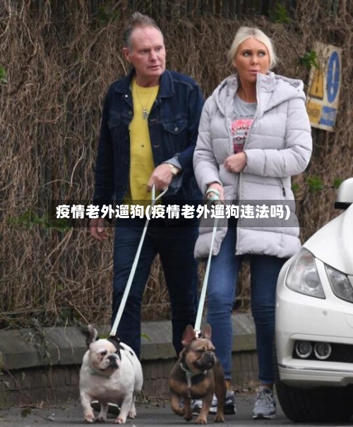 疫情老外遛狗(疫情老外遛狗违法吗)