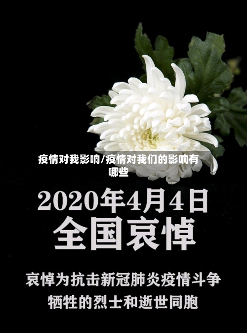 疫情对我影响/疫情对我们的影响有哪些