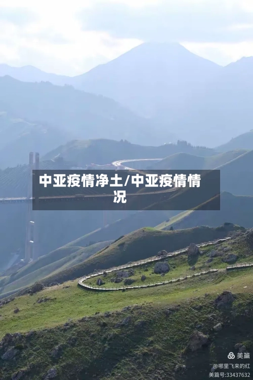中亚疫情净土/中亚疫情情况