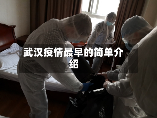 武汉疫情最早的简单介绍