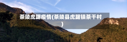 茶陵虎踞疫情(茶陵县虎踞镇茶干村)