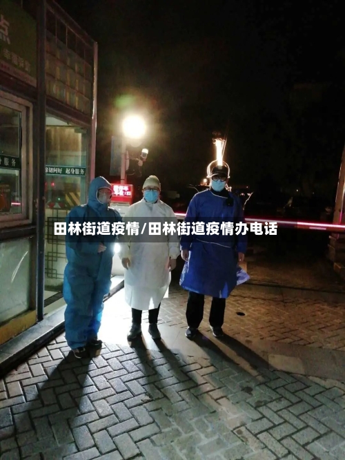 田林街道疫情/田林街道疫情办电话