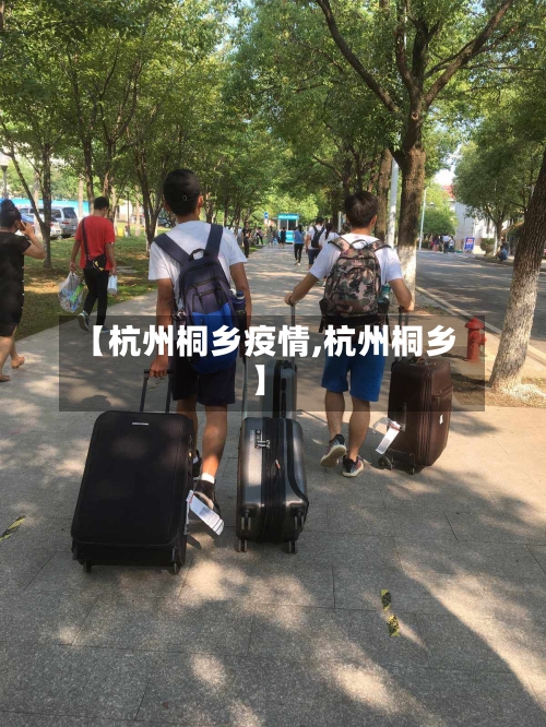 【杭州桐乡疫情,杭州桐乡】