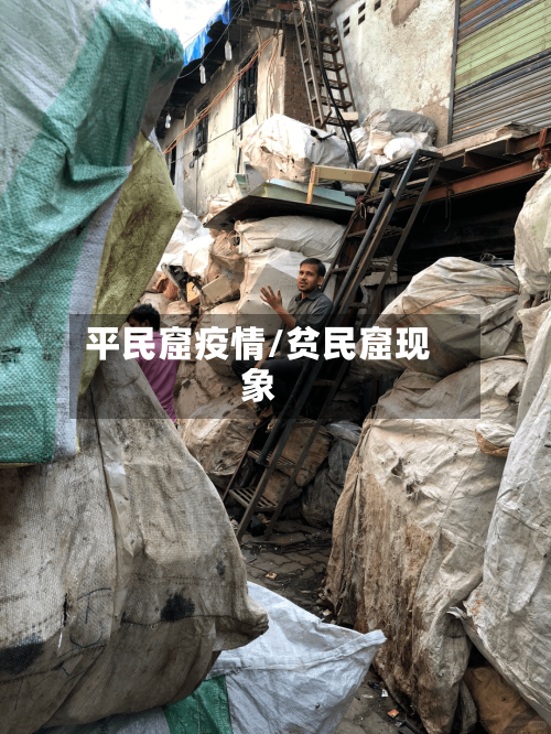 平民窟疫情/贫民窟现象