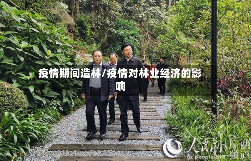疫情期间造林/疫情对林业经济的影响