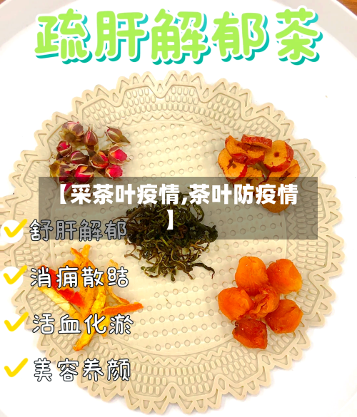【采茶叶疫情,茶叶防疫情】
