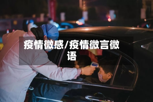 疫情微感/疫情微言微语