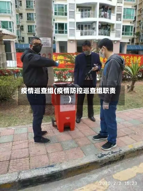 疫情巡查组(疫情防控巡查组职责)