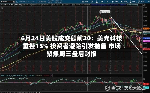 6月24日美股成交额前20：美光科技重挫13% 投资者避险引发抛售 市场聚焦周三盘后财报