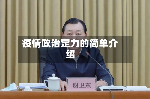 疫情政治定力的简单介绍