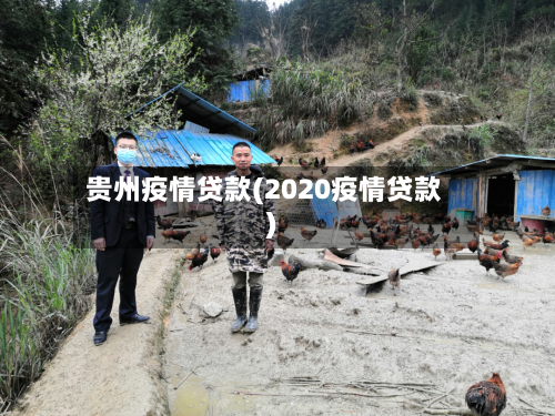 贵州疫情贷款(2020疫情贷款)