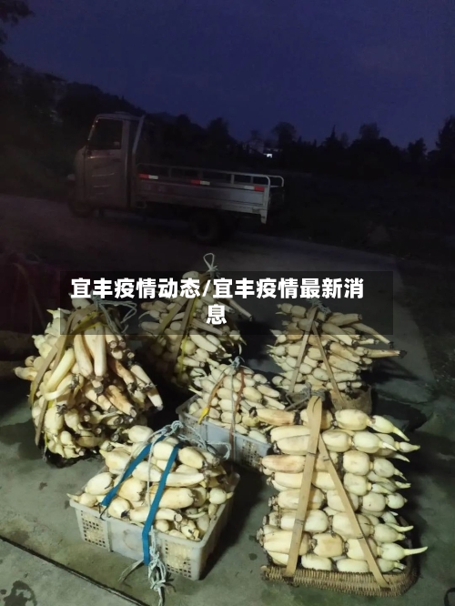 宜丰疫情动态/宜丰疫情最新消息