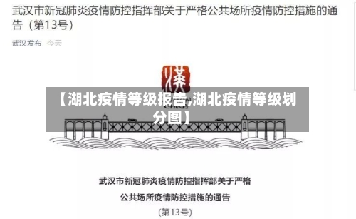 【湖北疫情等级报告,湖北疫情等级划分图】