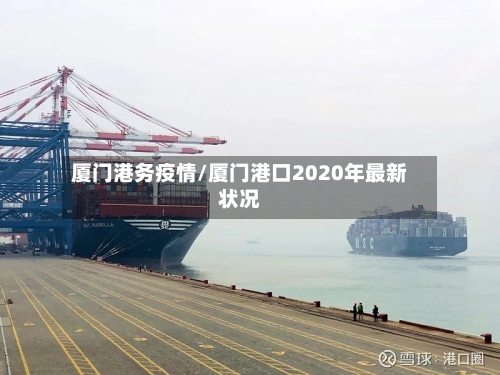 厦门港务疫情/厦门港口2020年最新状况