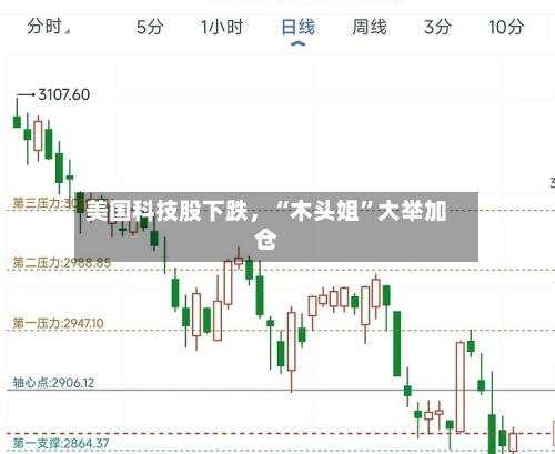 美国科技股下跌，“木头姐”大举加仓