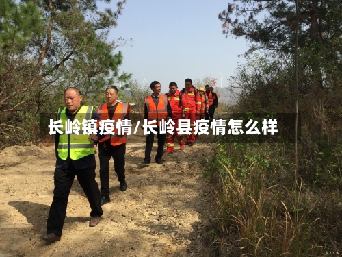 长岭镇疫情/长岭县疫情怎么样