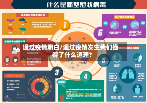 通过疫情明白/通过疫情发生我们懂得了什么道理?