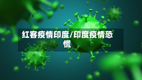 红客疫情印度/印度疫情恐慌
