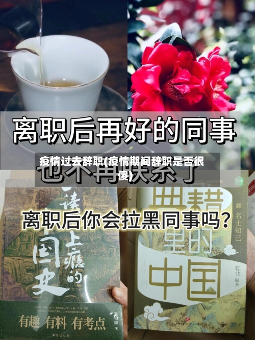 疫情过去辞职(疫情期间辞职是否很傻)