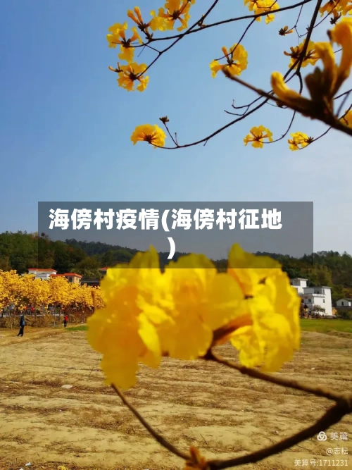 海傍村疫情(海傍村征地)