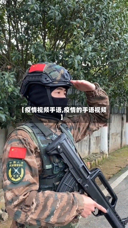 【疫情视频手语,疫情的手语视频】