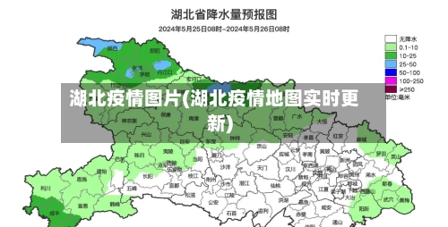 湖北疫情图片(湖北疫情地图实时更新)