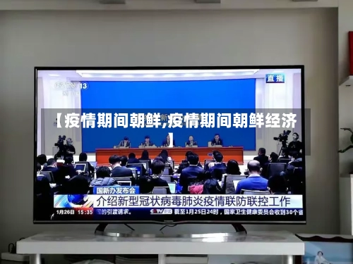 【疫情期间朝鲜,疫情期间朝鲜经济】