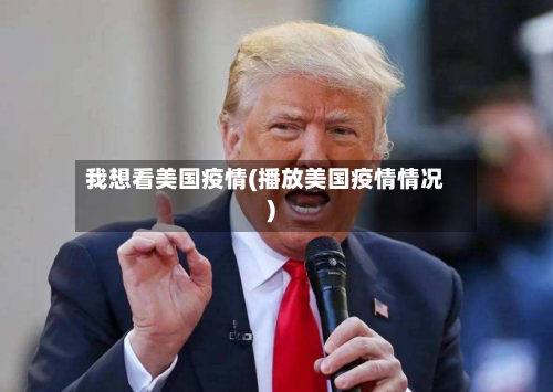 我想看美国疫情(播放美国疫情情况)