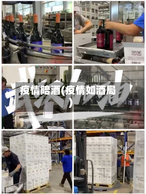 疫情陪酒(疫情如酒局)