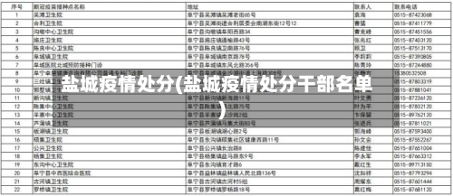 盐城疫情处分(盐城疫情处分干部名单)