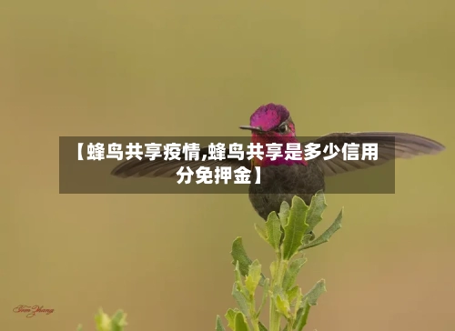 【蜂鸟共享疫情,蜂鸟共享是多少信用分免押金】