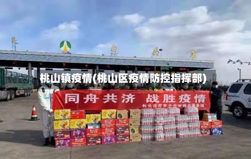 桃山镇疫情(桃山区疫情防控指挥部)