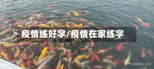 疫情练好字/疫情在家练字
