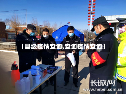 【县级疫情查询,查询疫情查询】