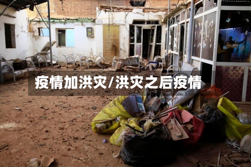 疫情加洪灾/洪灾之后疫情