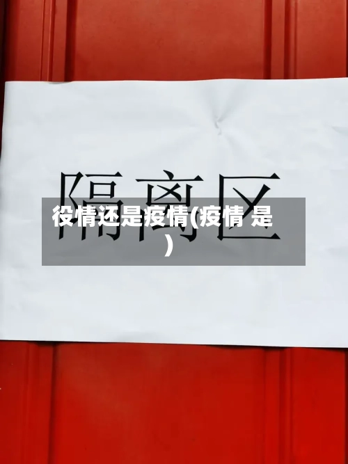 役情还是疫情(疫情 是)