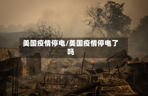 美国疫情停电/美国疫情停电了吗