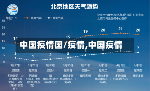 中国疫情国/疫情,中国疫情