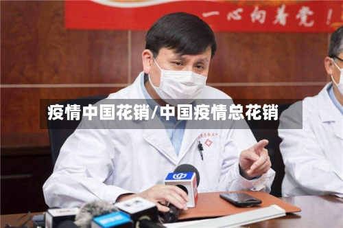 疫情中国花销/中国疫情总花销