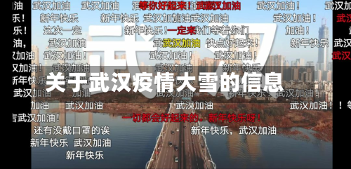 关于武汉疫情大雪的信息